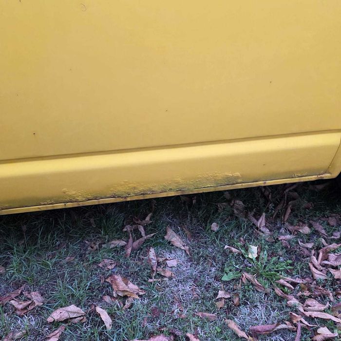 Vand transporter volkswagen