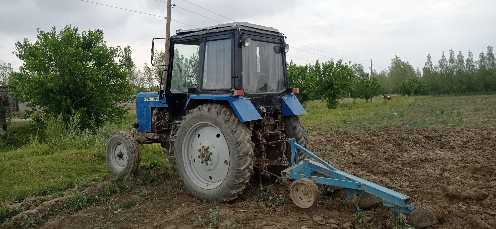 Трактор мтз сотилади