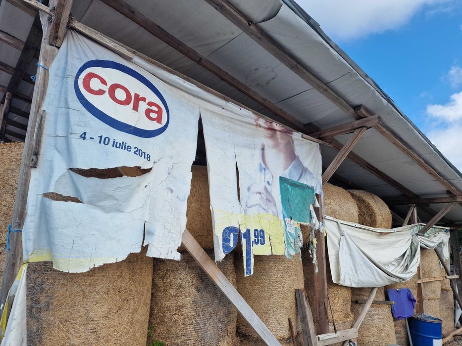 Lucernă coasa a 3-a calitatea I