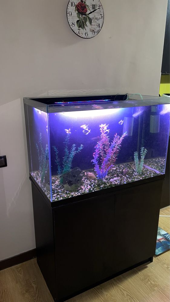 аквариум 300 л