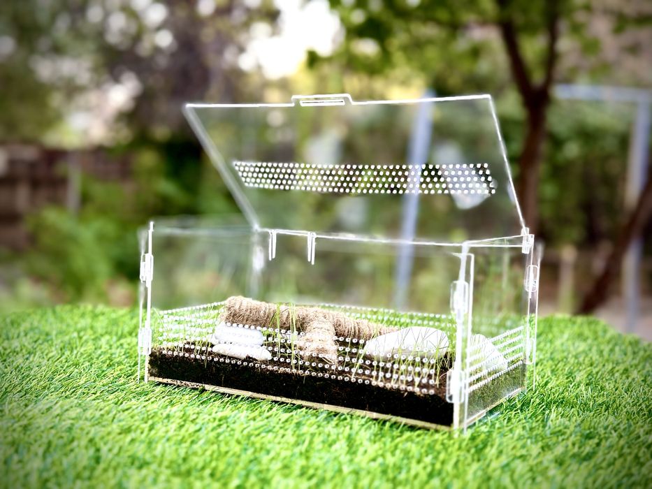 ТЕРРАРИУМ -  сухой аквариум