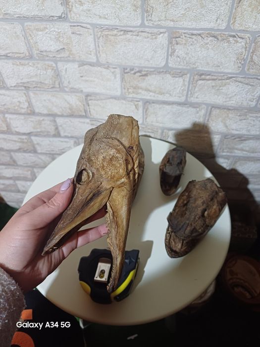 Препарирани за битов кът механа