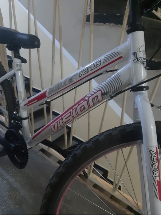 Bicicleta Venis Vision 24