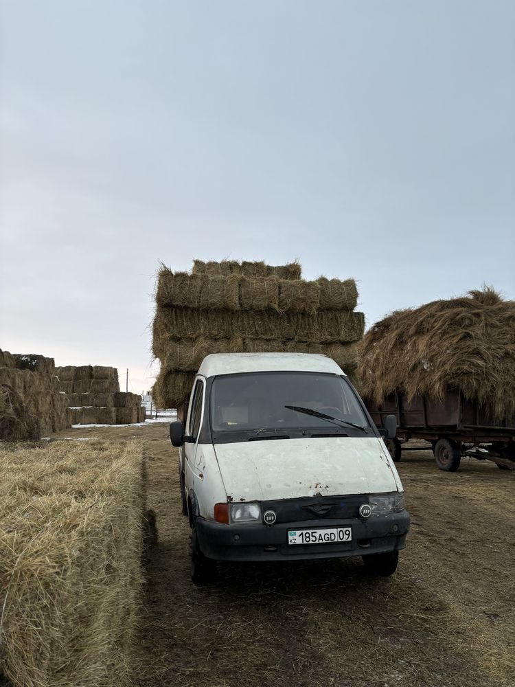 Сено в тюках продается
