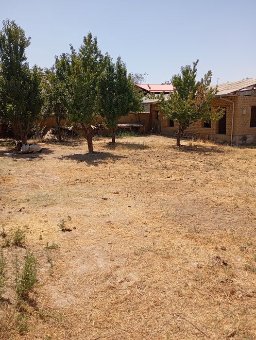 3 сотик сотилади