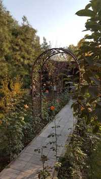садовые арки для вьющихся растаний