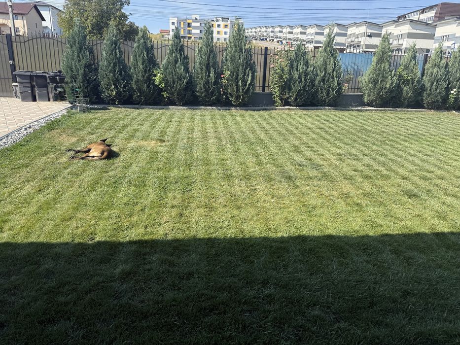 Robot de gazon novabot n2000 fara fir perimetral