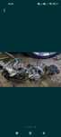 Răcitor ,egr ,clapeta 1.5 dci ,k9k g6,110 cp,EURO 6 Dacia, Renault
