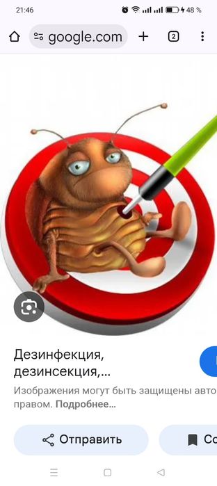 Дизенсекция дизенфекция дератизация помещение