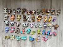 LPS Littlest Pet Shop Figurine