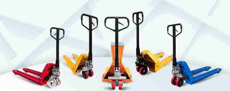 Барча турдаги рохли