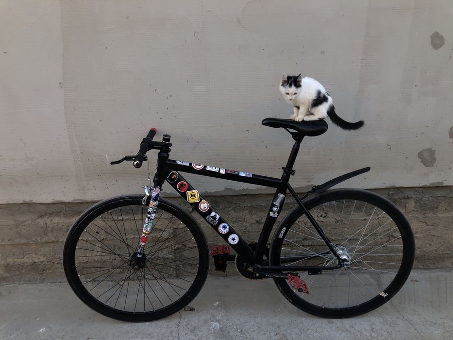 Продаётся фиксс..