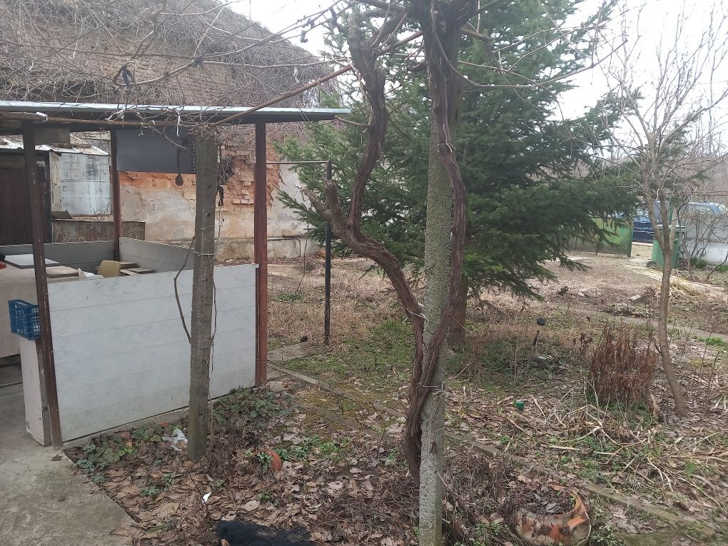 Продава се Къща в с. Бръшляница, Област Плевен - 120 кв.м за 102 €/кв.м - Снимка #8