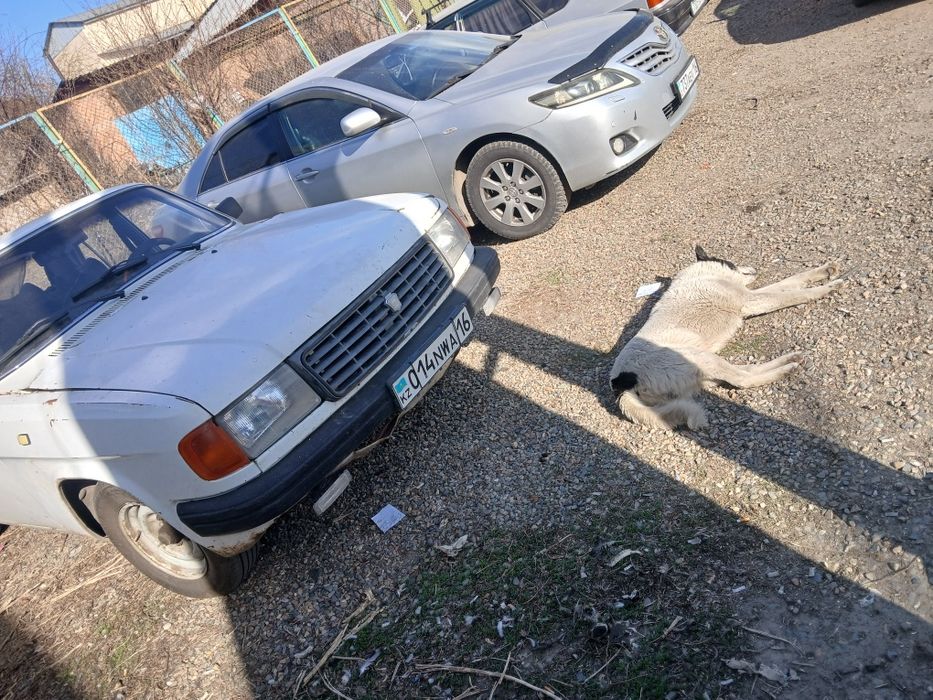 Продам Волгу 31029