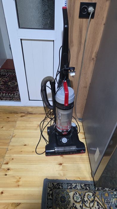 PilesosBisselAmericaBrend