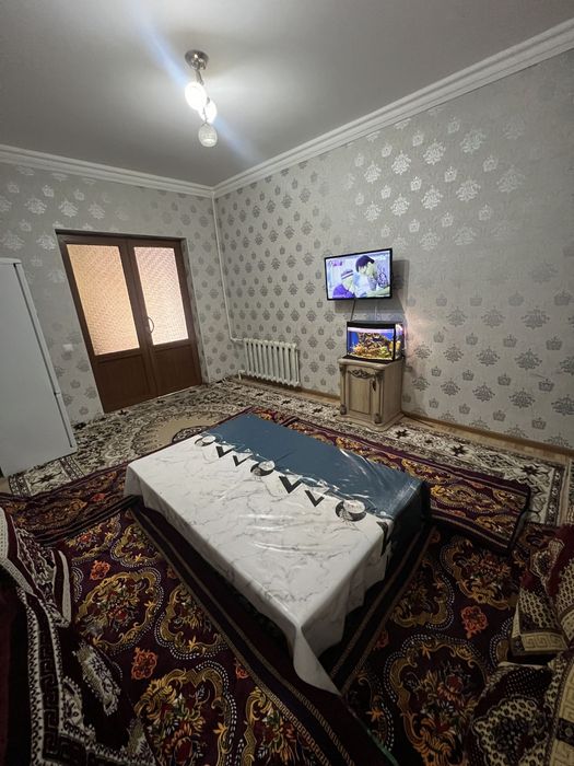 Sergeli qoyliq 5 куйлюк массив 3/1/5