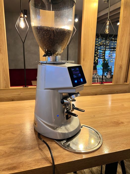 Râșniță de cafea Fiorenzato F64 EVO