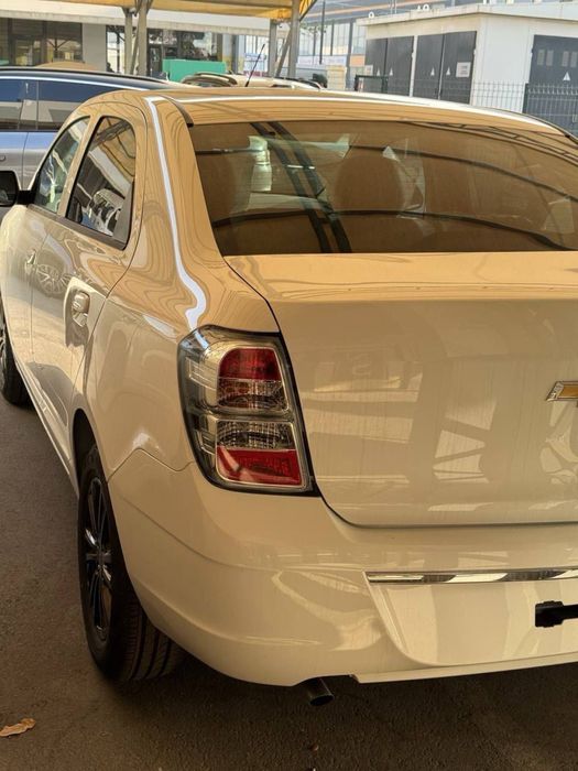 Cobalt midnight 2025