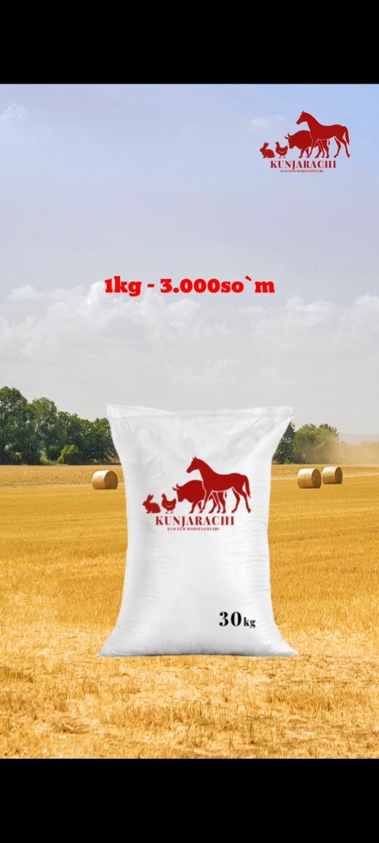 Maxsus Premium yem Kunjarachi