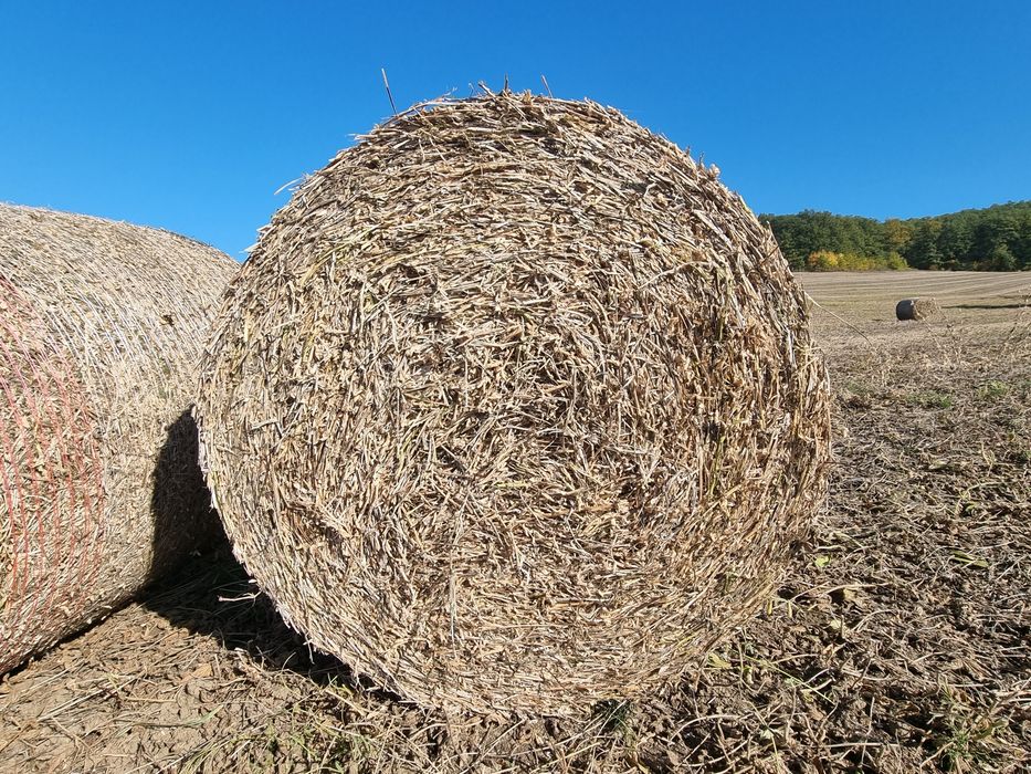 Baloti de soia facute recent