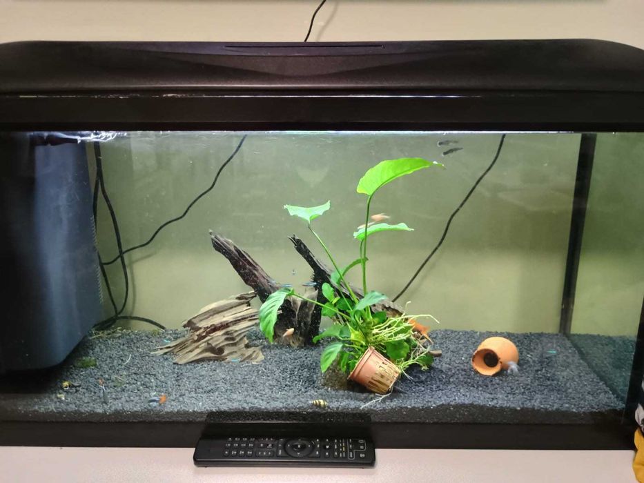 Аквариум 90 литра