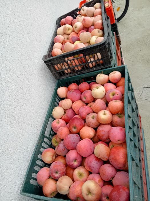 Mere de consum florina