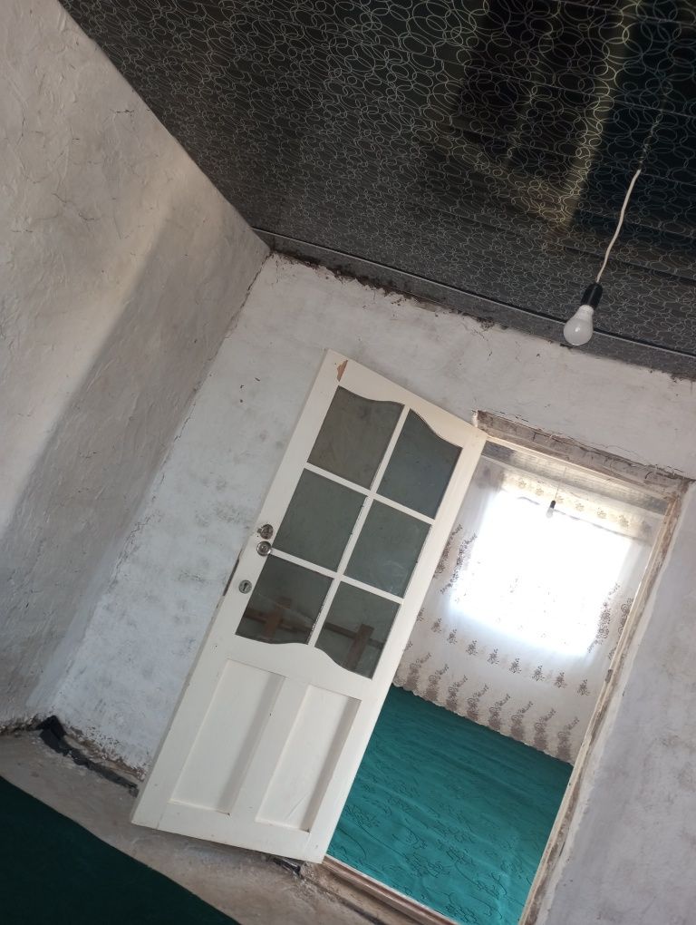 Дача Сатылады. Жузим баг