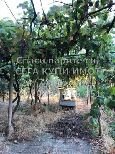 код 61604. Двуетажна тухлена къща 200м2 с двор 900м2 със стоп. сгради