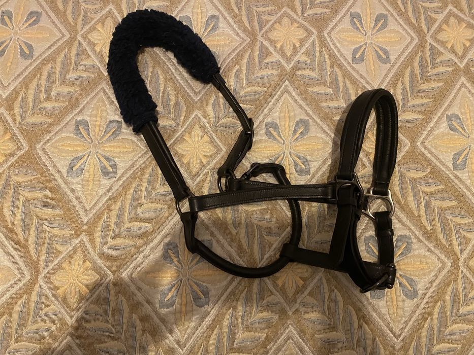 Pressan in 5 pctr, capastru de piele , fruntar de piele