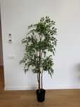 Plantă artificială, interior/exterior Ficus Benjamina