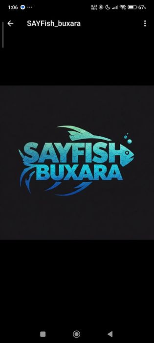 Аквариумные рыбки и живой корм