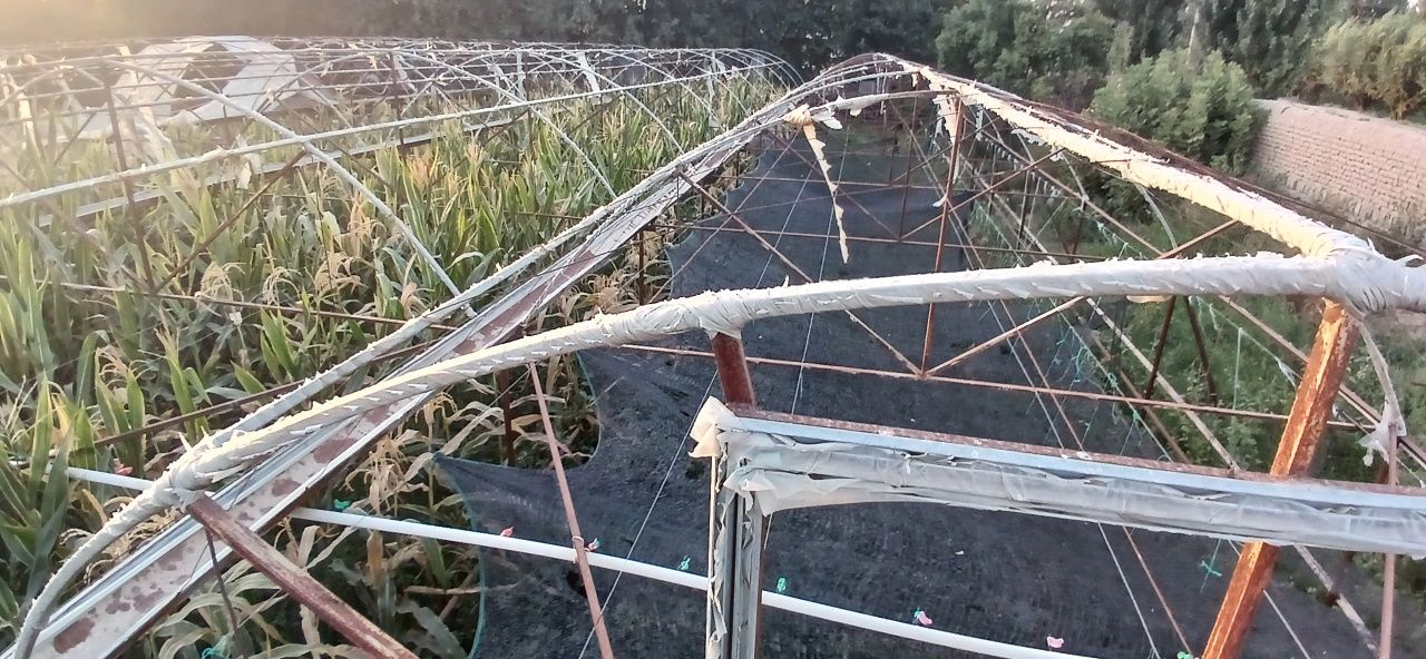 Tiplitsa 6 sotix
