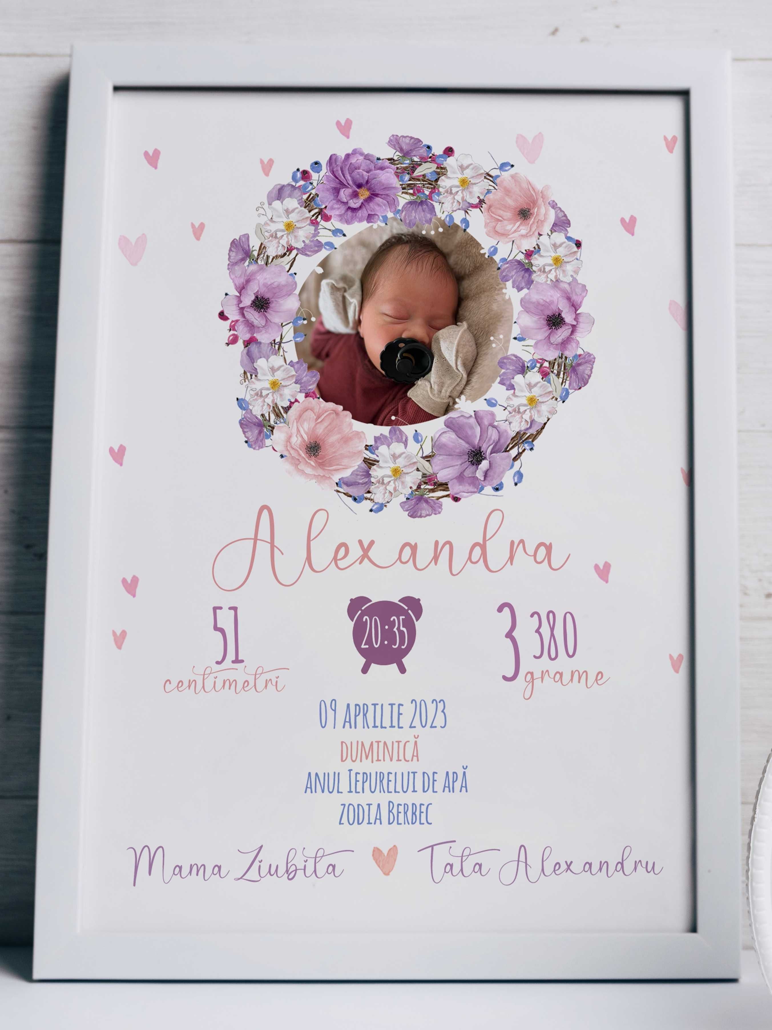 Baby birth poster