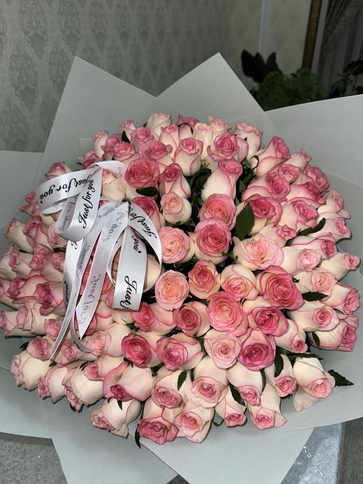 свежие розы 100 шт