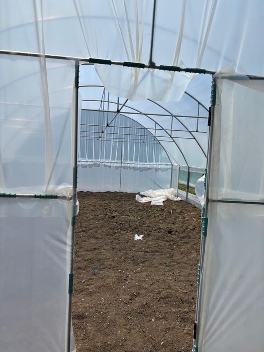 Execut SOLARII LA GATA (de la A la Z)