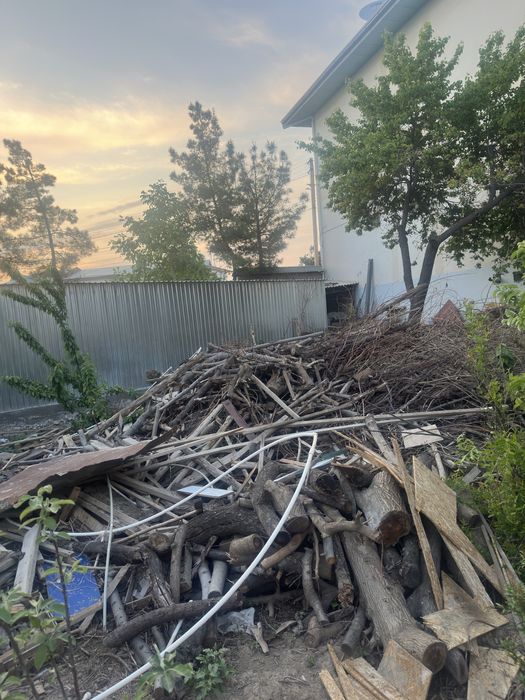 Утин бор сотилади келишамиз