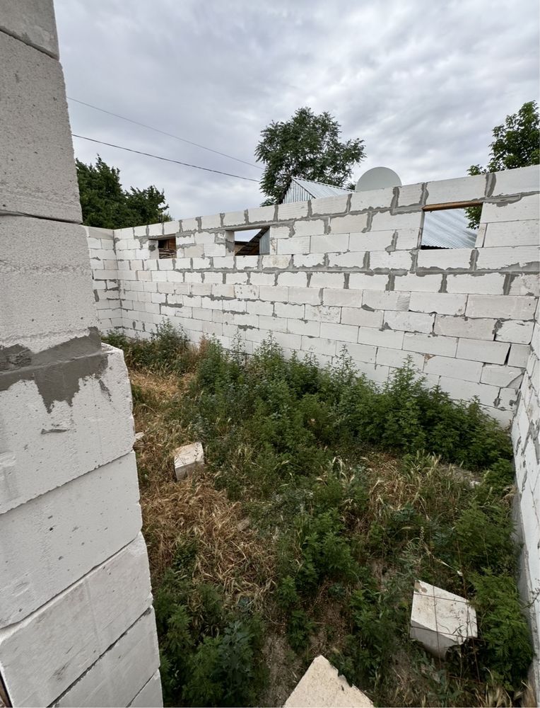 Чирчик ховли 2.5 Chirchiq hovli 2.5