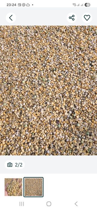 Продам отходы гороха