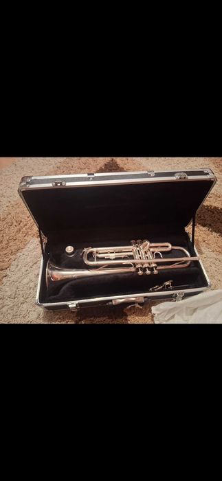 Vand trompetă Bernny