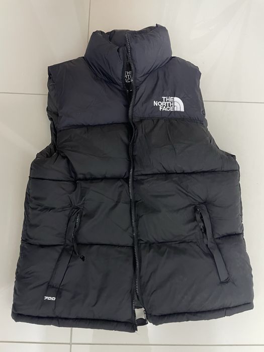 Vesta the north face