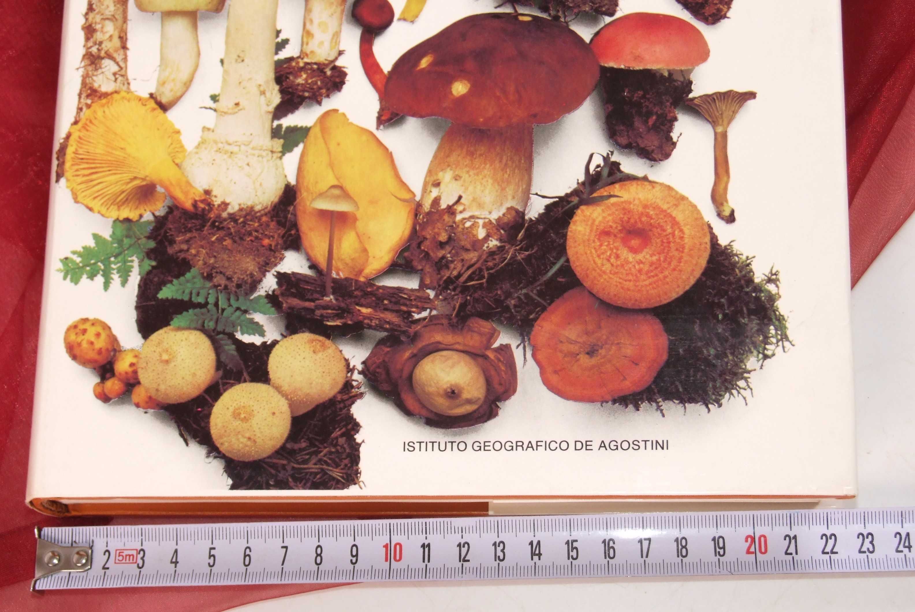 ENCICLOPEDIE 900 ciuperci europene: recunoastere, poze, text, NOUA