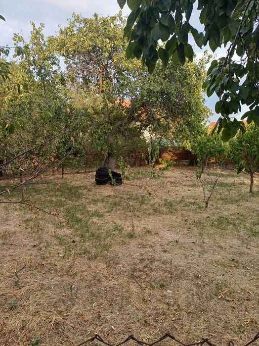 Teren intravilan de vânzare.