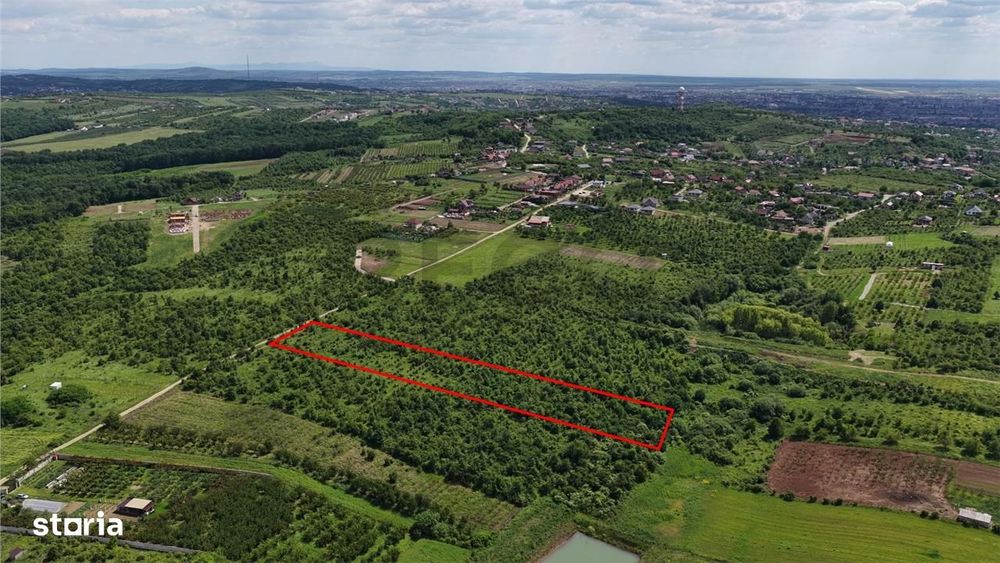 Teren Intravilan In Paleu