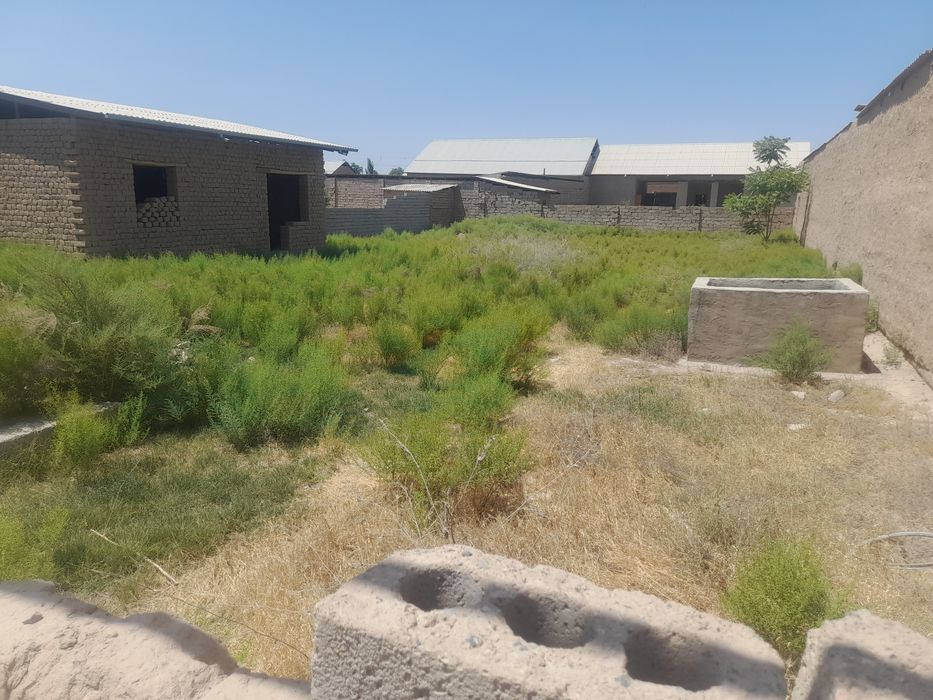 Shoyxuja gubdin 8sotix