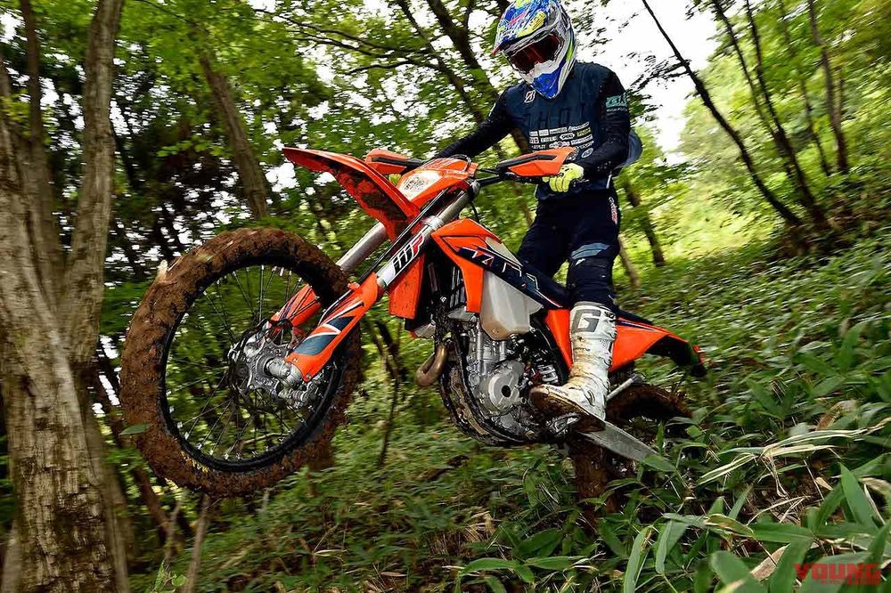 Амортизаторы рем.