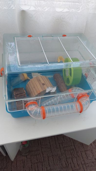 Cusca hamsteri cu accesorii și nisip