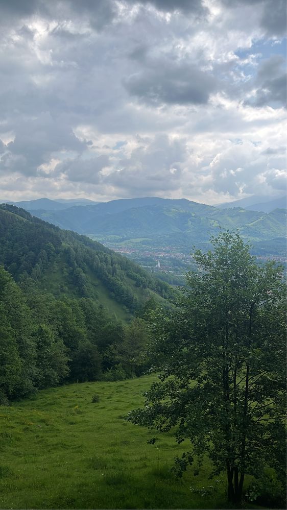 Teren de vanzare
