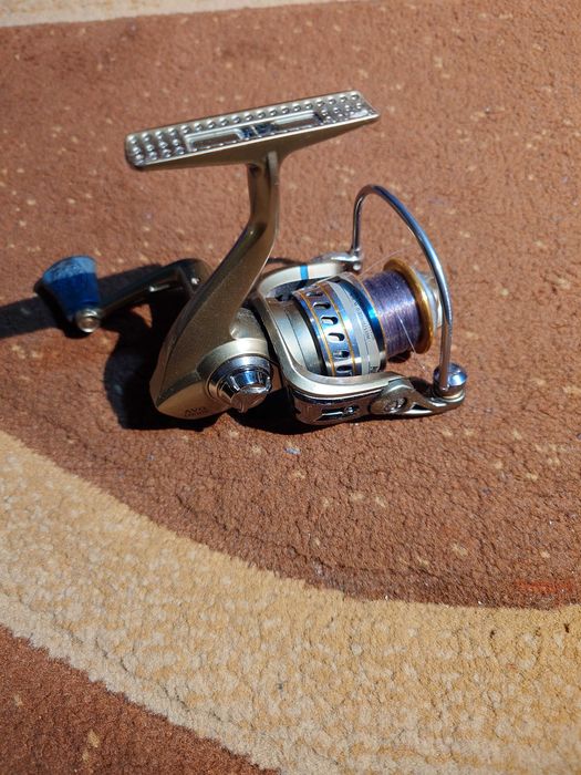 Mulineta Michell avocet2