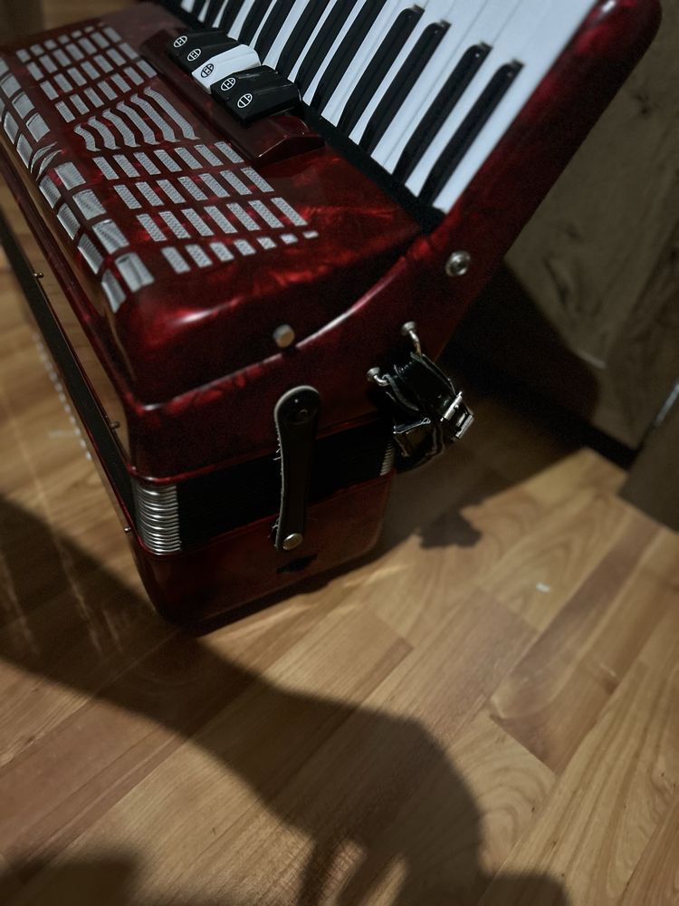 Acordeon parrot rosu top