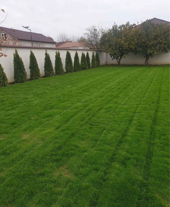 Gazon rulou premium oriunde in tara